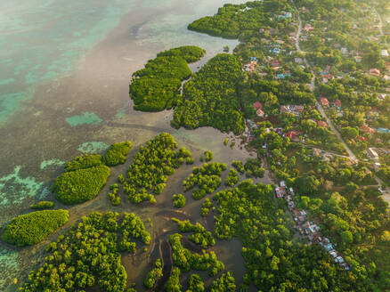 Aerial view of coastal town and mangroves in Taloto district, Philippines. - AAEF01828