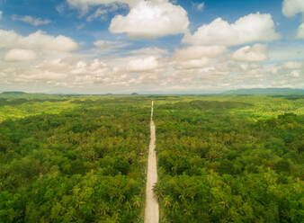 Luftaufnahme der langen Balilihan Road zwischen Palmen, Philippinen. - AAEF01829