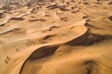 Luftaufnahme einer Gruppe von Kamelen, die gemeinsam in einer Wüstenlandschaft umherziehen, VAE. - AAEF01901