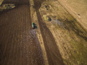 Aerial view of tractor working in the farmland and birds flying around. - AAEF02030