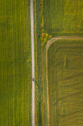 Aerial view of a car driving on a straight road surrounded by farmland in Estonia countryside. - AAEF02052