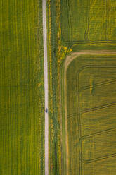 Luftaufnahme eines Autos auf einer geraden Straße, umgeben von Ackerland in Estland. - AAEF02052