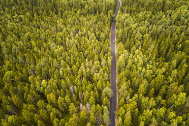 Aerial view of a car driving on a straight empty road crossing a big nordic pines forest in Estonia. - AAEF02054