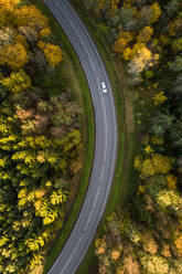 Luftaufnahme eines Autos, das durch den bunten nordischen Wald im Herbst in Estland fährt. - AAEF02071