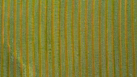 Luftaufnahme eines landwirtschaftlichen Feldes nach der Ernte im Spätherbst in Naperville, IL in den Vereinigten Staaten. - AAEF02105