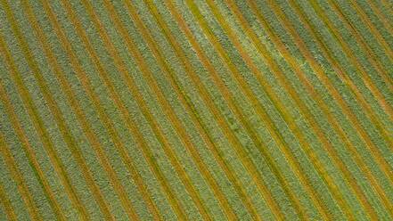 Luftaufnahme eines landwirtschaftlichen Feldes nach der Ernte im Spätherbst in Naperville, IL in den Vereinigten Staaten. - AAEF02106