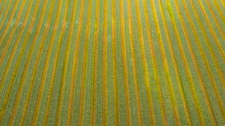 Luftaufnahme eines landwirtschaftlichen Feldes nach der Ernte im Spätherbst in Naperville, IL in den Vereinigten Staaten. - AAEF02110