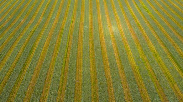 Luftaufnahme eines landwirtschaftlichen Feldes nach der Ernte im Spätherbst in Naperville, IL in den Vereinigten Staaten. - AAEF02111