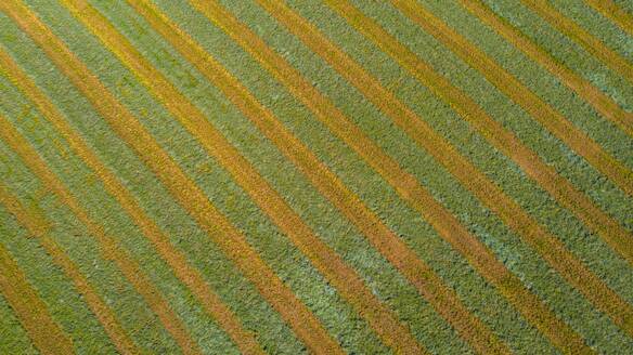 Luftaufnahme eines landwirtschaftlichen Feldes nach der Ernte im Spätherbst in Naperville, IL in den Vereinigten Staaten. - AAEF02113