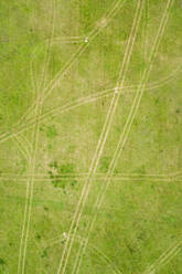 Aerial view of tracks drawing in the lawn in green meadow. - AAEF02222