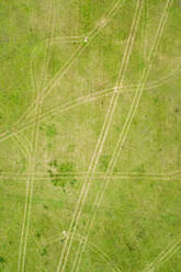 Luftaufnahme von Spuren, die in den Rasen einer grünen Wiese gezeichnet wurden. - AAEF02222