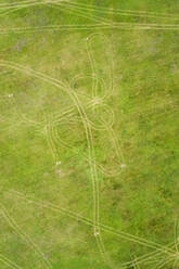 Aerial view of tracks drawing in the lawn in green meadow. - AAEF02223