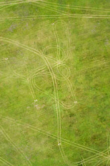 Luftaufnahme von Spuren, die in den Rasen einer grünen Wiese gezeichnet wurden. - AAEF02223