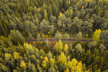 Luftaufnahme einer leeren Straße, die den nordischen bunten Wald im Herbst in Estland durchquert. - AAEF02226