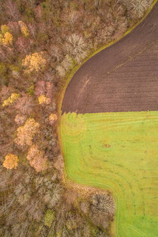 Aerial view of a separation between two different colored fields in Estonia. stock photo