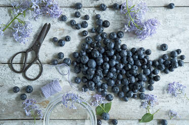 Direkt über der Aufnahme von Blaubeeren mit Flieder und Schere auf dem Holztisch - ASF06484