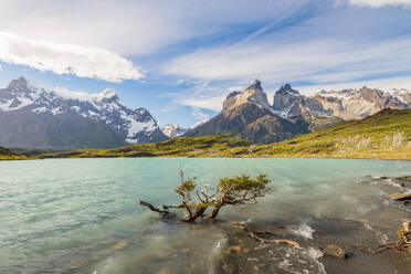 Torres Del Paine National Park, Patagonien, Chile, Südamerika - RHPLF00241