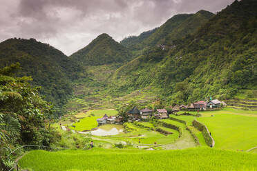 Rice Terraces, Bangaan, UNESCO World Heritage Site, Luzon, Philippines, Southeast Asia, Asia - RHPLF00258