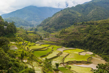 Hapao, Luzon, Philippinen, Südostasien, Asien - RHPLF00268