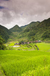 Reisterrassen, Bangaan, UNESCO-Welterbe, Luzon, Philippinen, Südostasien, Asien - RHPLF00269