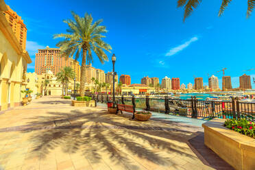 Palmen entlang der luxuriösen Marina Corniche Promenade im Porto Arabia at the Pearl-Qatar, Wohn-Wolkenkratzer im Hintergrund, Persischer Golf, Doha, Katar, Naher Osten - RHPLF00366