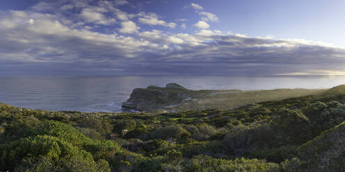 Kap der Guten Hoffnung, Cape Point National Park, Kapstadt, Westkap, Südafrika, Afrika - RHPLF00377