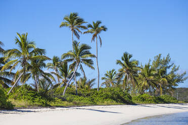 Tihiti beach, Elbow Cay, Abaco Islands, Bahamas, West Indies, Central America - RHPLF00396