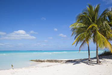 Beach at Treasure Cay, Great Abaco, Abaco Islands, Bahamas, West Indies, Central America - RHPLF00405