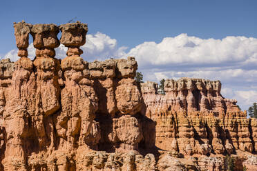 View of hoodoo formations from the Navajo Loop Trail in Bryce Canyon National Park, Utah, United States of America, North America - RHPLF00409