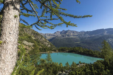 Lago Lagazzuolo surrounded by woods, Chiesa In Valmalenco, Province of Sondrio, Valtellina, Lombardy, Italy, Europe - RHPLF00416