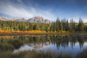 Pyramid Mountain spiegelt sich in einem herbstlich gefärbten See, Jasper National Park, UNESCO-Welterbe, Kanadische Rockies, Alberta, Kanada, Nordamerika - RHPLF00422