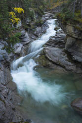 Fluss, der durch den Maligne Canyon fließt, mit Herbstlaub, Jasper National Park, UNESCO Weltkulturerbe, Alberta, Kanada, Nordamerika - RHPLF00423