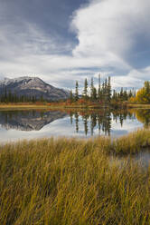 Herbstlaub und Bergsee, Icefields Parkway, Jasper National Park, UNESCO-Weltkulturerbe, Kanadische Rockies, Alberta, Kanada, Nordamerika - RHPLF00424