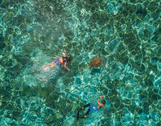 Aerial view of two people snorkeling with turtle in Panagsama Beach, Philippines. - AAEF02389