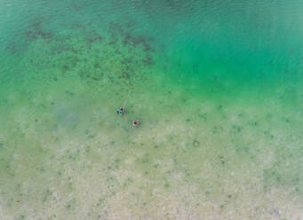 Aerial view of two men fishing near Borja Bridge, Dauis, Philippines. - AAEF02394