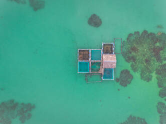 Luftaufnahme einer Fischfarm und eines Korallenriffs in der Nähe von Tagbilaran City, Philippinen. - AAEF02398