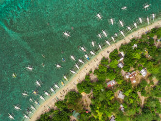 Luftaufnahme von Strand, Gebäuden, philippinischen Booten, Balicasag Island, Philippinen. - AAEF02405