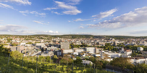 Vineyard by buildings against sky in Stuttgart, Germany - WDF05394