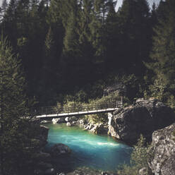 Fußgängerbrücke über den Fluss Mallero gegen Bäume im Wald, Lombardei, Italien - DWIF01029