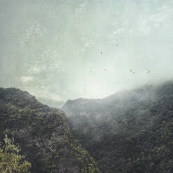 Landschaftliche Ansicht von Bergen gegen bewölkten Himmel im Lorbeerwald, Spanien - DWIF01032