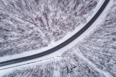 Aerial view of an empty road in the middle of the forest in winter in Estonia. - AAEF02467