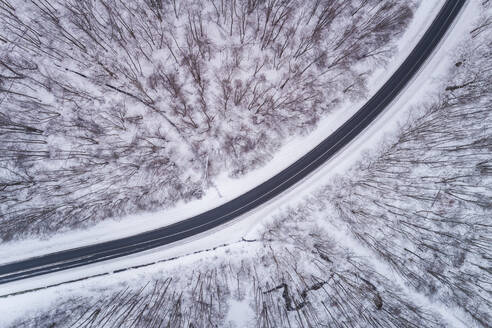 Luftaufnahme einer leeren Straße inmitten des Waldes im Winter in Estland. - AAEF02467