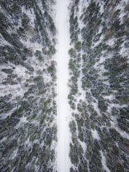 Aerial view of an empty road covered with snow in the nordic forest in Estonia. - AAEF02481