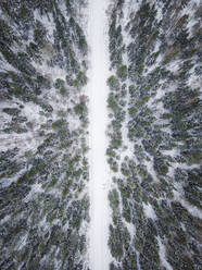 Luftaufnahme einer leeren, schneebedeckten Straße im nordischen Wald in Estland. - AAEF02481