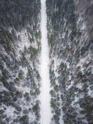 Luftaufnahme einer leeren, schneebedeckten Straße im nordischen Wald in Estland. - AAEF02482