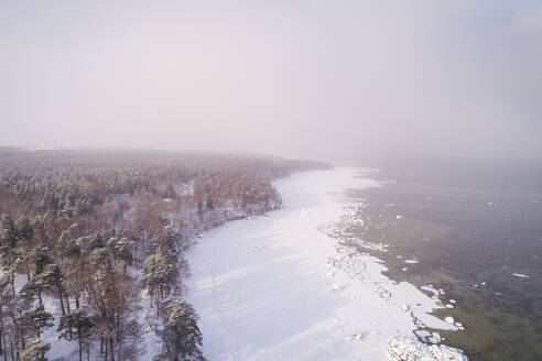 Luftaufnahme der verschneiten, nebligen Küste von Muraste in Estland. - AAEF02494