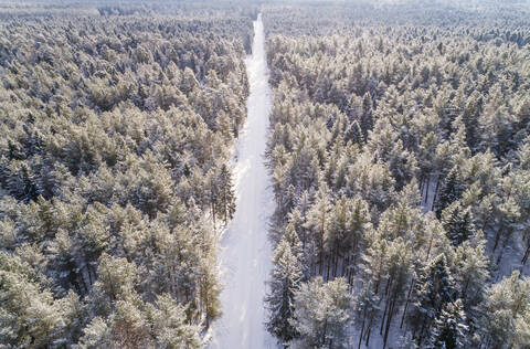 Luftaufnahme einer mit Schnee bedeckten Straße im Wald von Naage in Estland., lizenzfreies Stockfoto