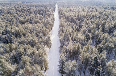 Luftaufnahme einer mit Schnee bedeckten Straße im Wald von Naage in Estland. - AAEF02508