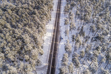 Aerial view of an empty straight road in the forest of Naage in Estonia. - AAEF02509