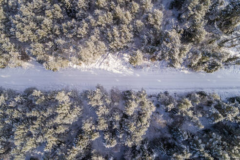 Luftaufnahme einer mit Schnee bedeckten Straße im Wald von Naage in Estland. - AAEF02513
